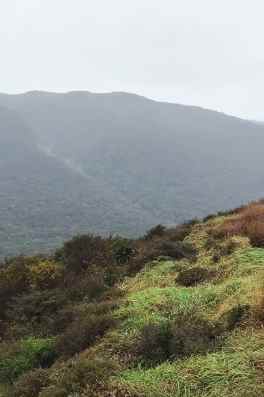 漢拿山登山 漢拿山登山