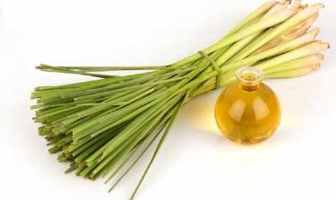 香茅油稀釋方法 香茅油稀釋方法