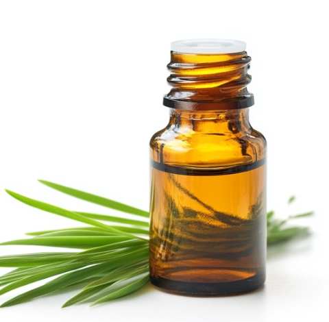 香茅油過敏 香茅油過敏