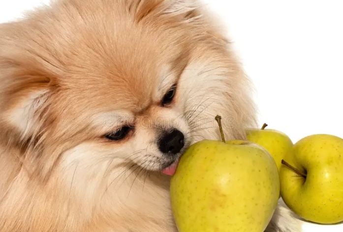 雪梨對狗的好處