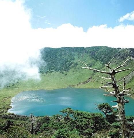 漢拿山登山 漢拿山登山