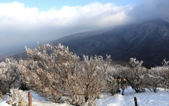 濟州島登山 濟州島登山