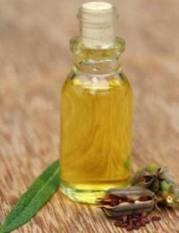 香茅油安全使用 香茅油安全使用