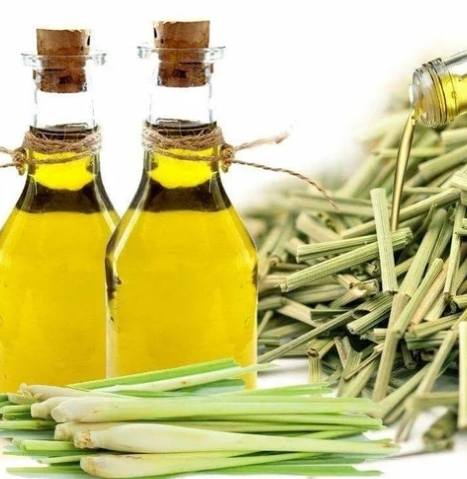 香茅油化學組成