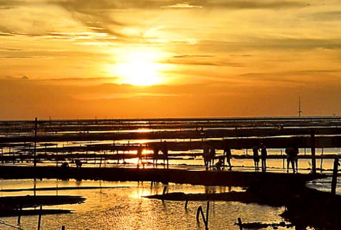 王功景點 王功景點