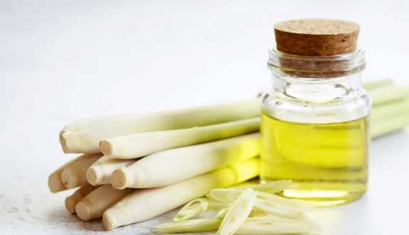 香茅油安全使用 香茅油安全使用