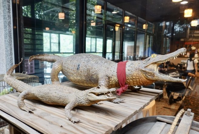 台灣生態農場交通資訊