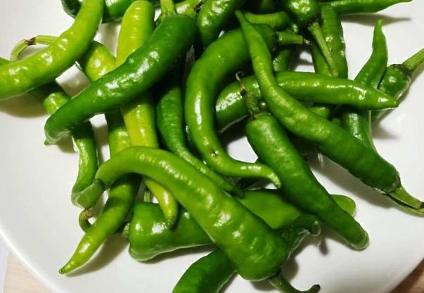 低熱量辣椒 低熱量辣椒