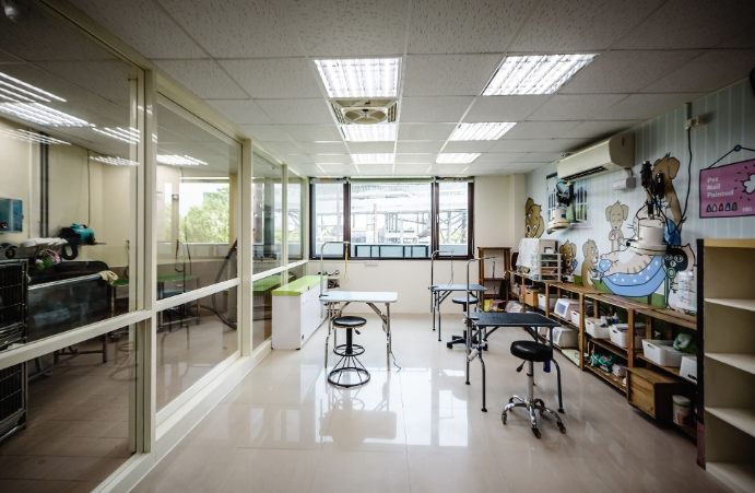 開寵物旅館法規