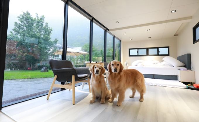 南投寵物友善住宿
