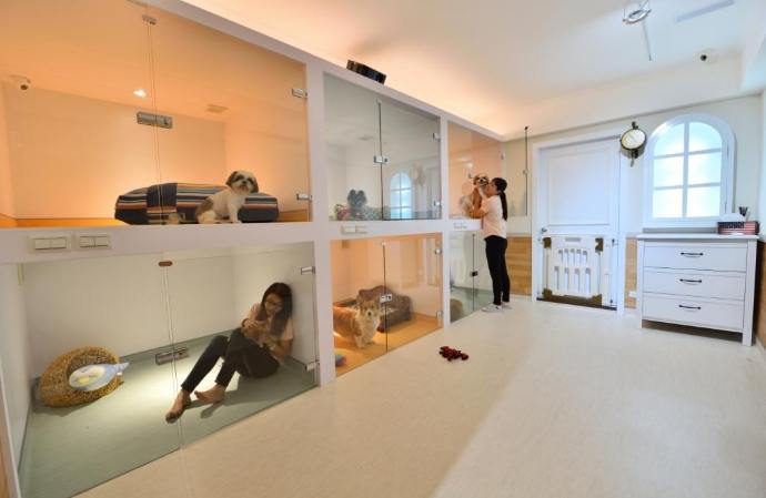 寵物旅館申請流程