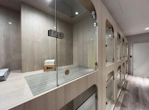 開寵物旅館法規