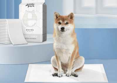 狗狗尿布墊清潔