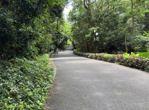 蓮花山公園風景