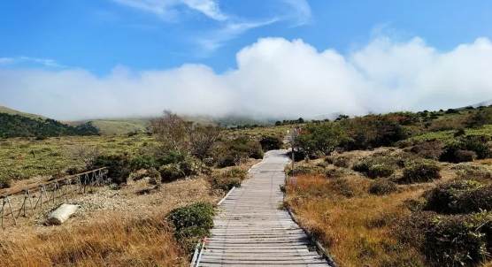 濟州島登山路線 濟州島登山路線