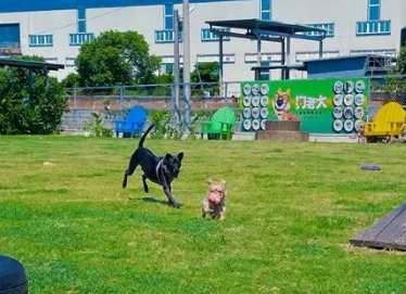 桃園寵物友善室內場所