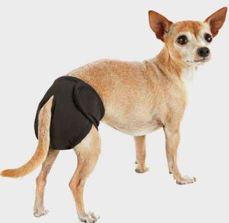 狗狗尿布墊更換頻率