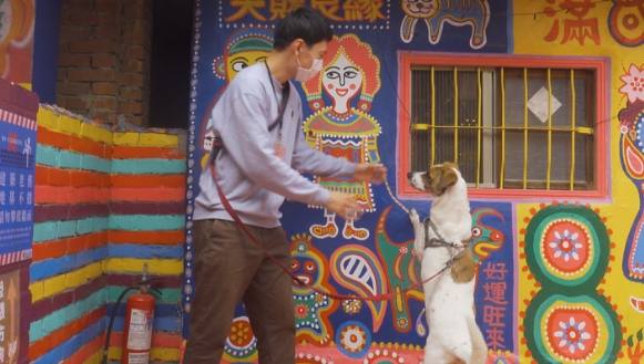 台中寵物友善室內