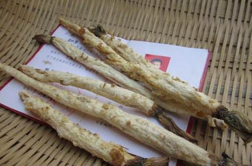 沙參玉竹麥冬副作用