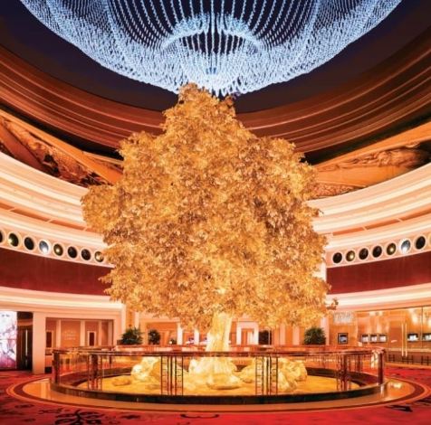 永利皇宫吉祥树 永利皇宫吉祥树