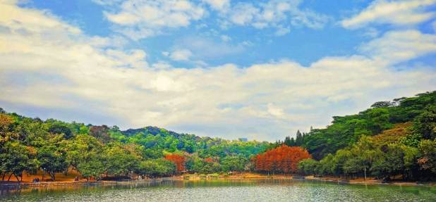 蓮花山公園風景