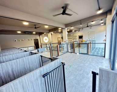 狗狗室內遊樂場桃園