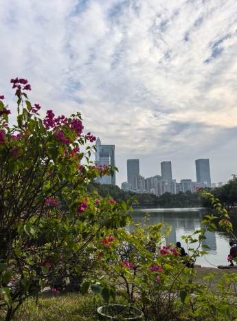 蓮花山公園交通