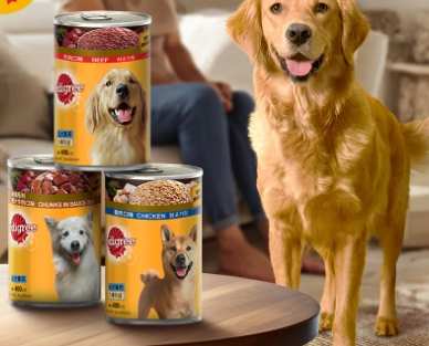 狗罐頭推薦