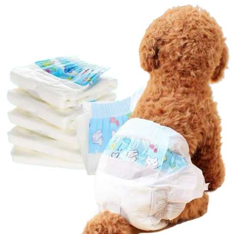 狗狗尿布墊更換頻率
