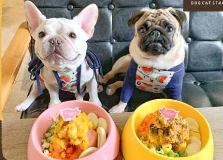 雨天遛狗好去處