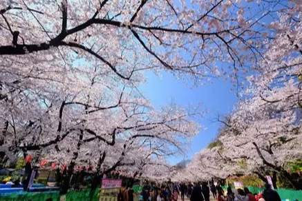 上野公園必去景點