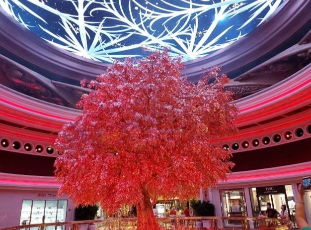 永利皇宫吉祥树 永利皇宫吉祥树