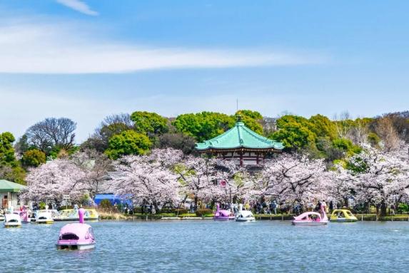 上野公園旅遊攻略