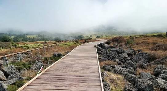 濟州島登山路線 濟州島登山路線