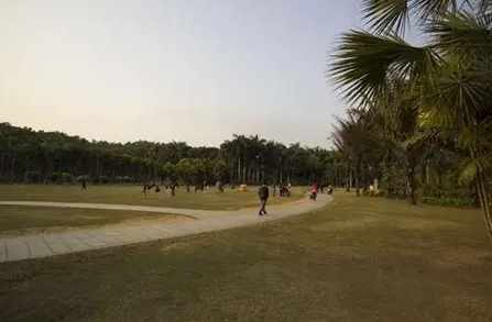 蓮花山公園風景