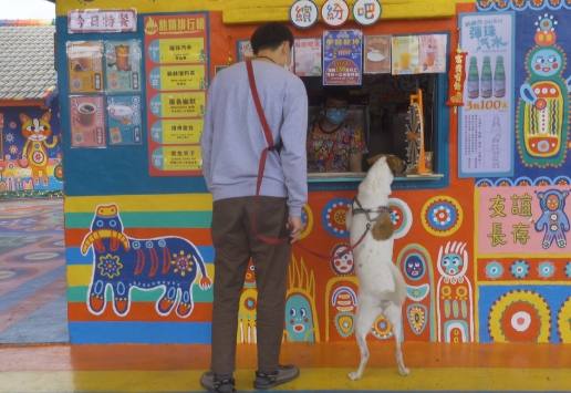 下雨天帶狗狗台中