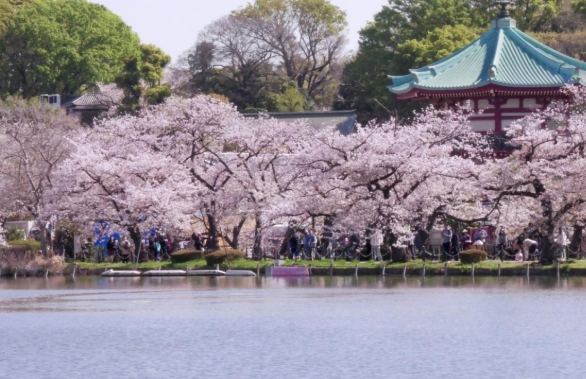 上野公園交通方式
