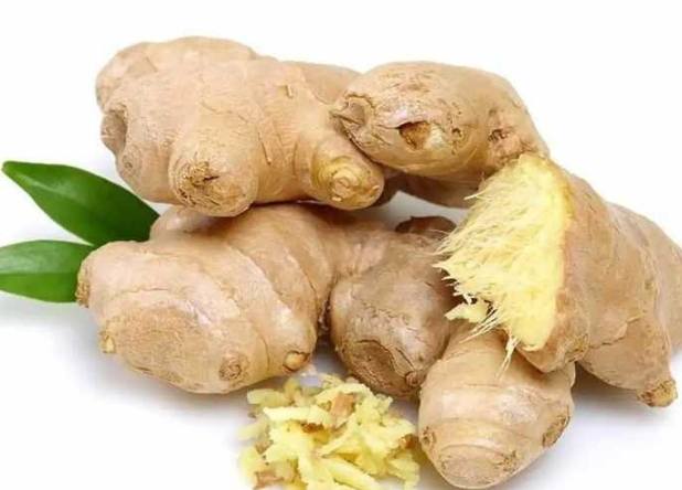 薑的藥用價值