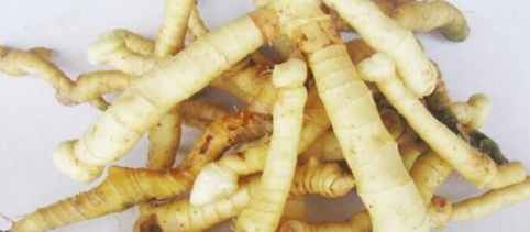 玉竹的益處 玉竹的益處