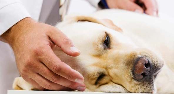 腎指數降低治療