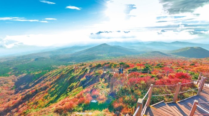 漢拿山登山 漢拿山登山