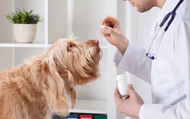 驅蟲藥比較 驅蟲藥比較