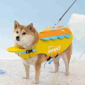 韓國寵物救生衣推薦 韓國寵物救生衣推薦