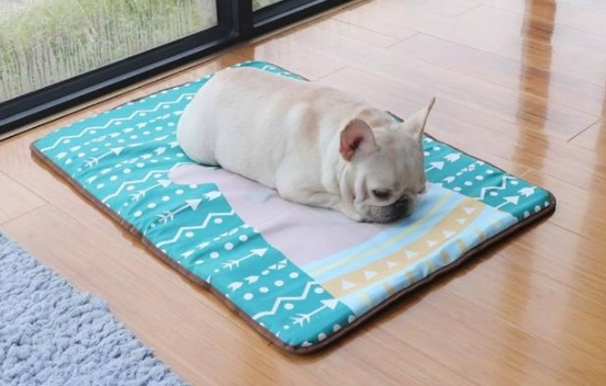 狗狗降溫墊使用技巧 狗狗降溫墊使用技巧
