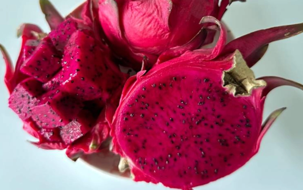 火龍果尿液顏色