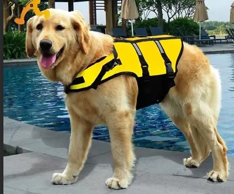 狗救生衣選購技巧