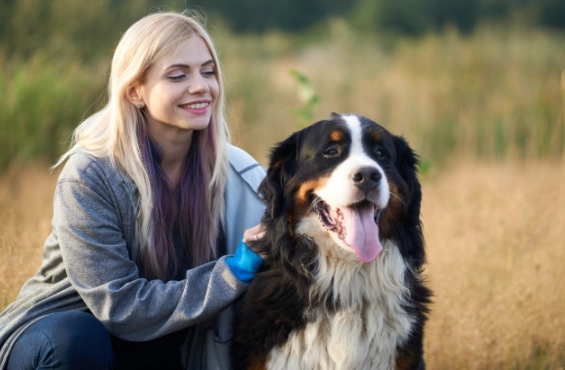 犬隻體重管理 犬隻體重管理