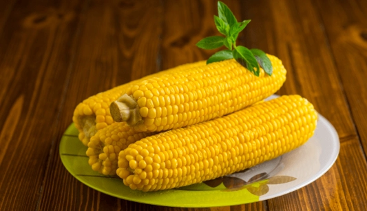 狗狗吃玉米安全嗎 狗狗吃玉米安全嗎