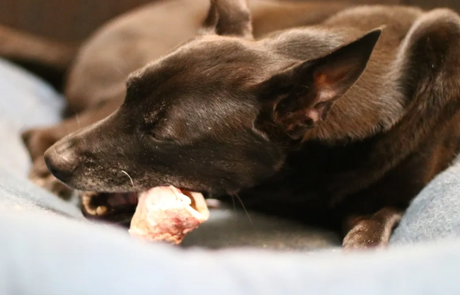 脂肪瘤變硬原因 脂肪瘤變硬原因