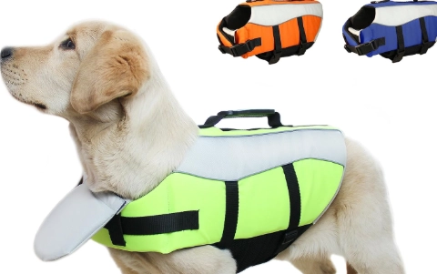 狗救生衣選購技巧
